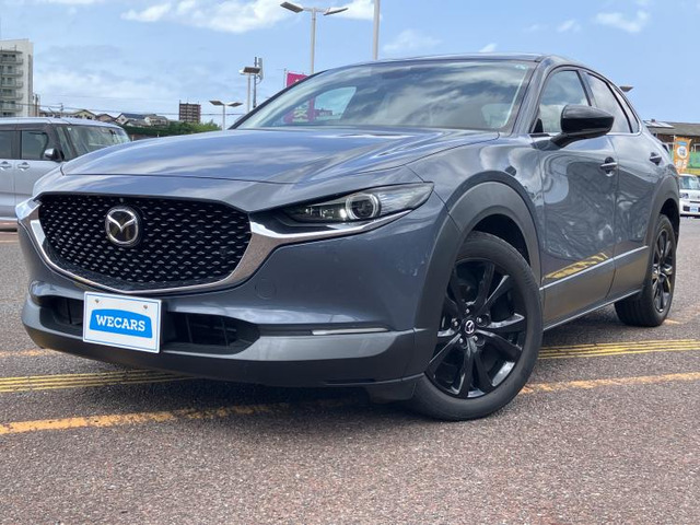CX-301.8 XD ブラックトーンエディション