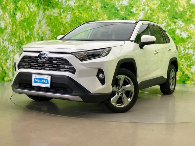 RAV42.5 ハイブリッド G E-Four 4WD