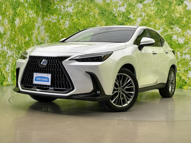 NX350h バージョンL