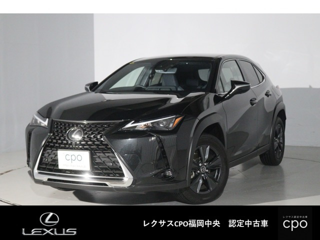 UX250h バージョンC