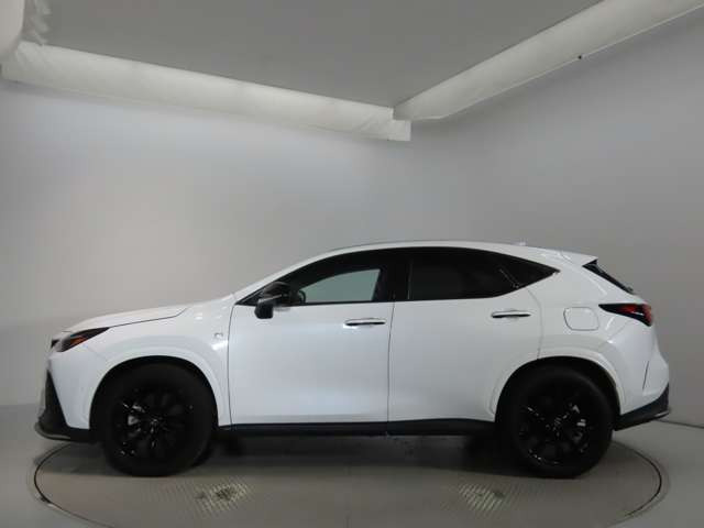 NX350h Fスポーツ