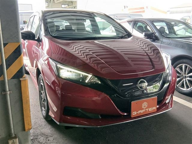 リーフe+ X