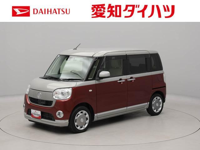 ムーヴキャンバスG メイクアップ SAII