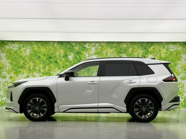 RAV42.5 Z E-Four 4WD