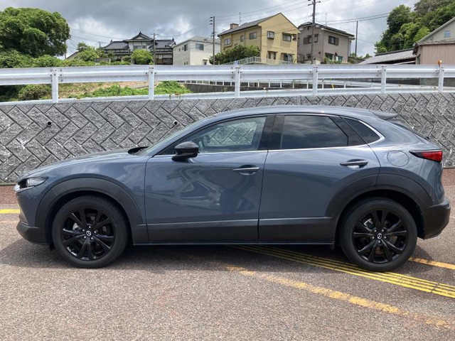 CX-301.8 XD ブラックトーンエディション