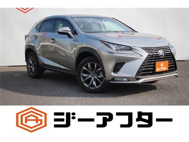 NX300h バージョンL