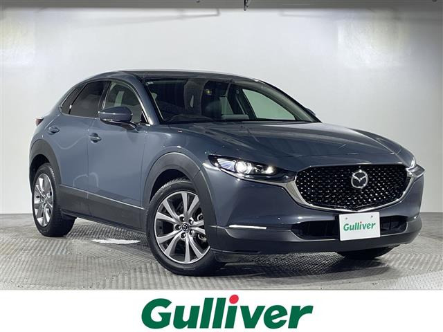 CX-301.8 XD Lパッケージ