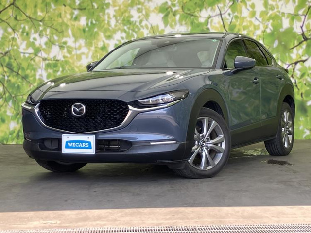 CX-301.8 XD プロアクティブ ツーリングセレクション
