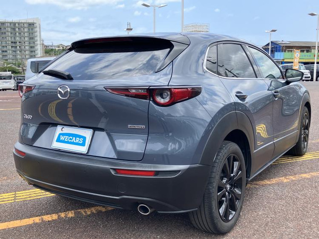 CX-301.8 XD ブラックトーンエディション