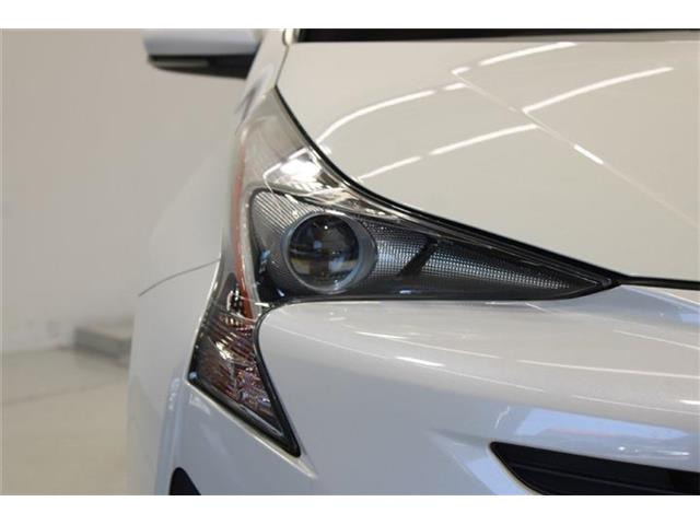 �ቿ�i�ŗǎ��Ȃ��Ԃ�S�Б���3,000�݌ɂ��炨�I�т��������܂��B�c�Ǝ��� 10:00�`19:00