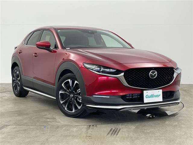 CX-301.8 XD Lパッケージ
