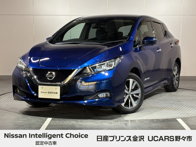 リーフe+ X