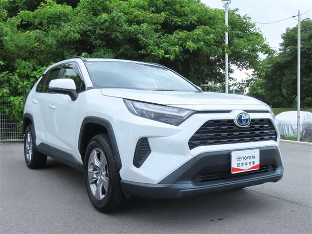 RAV42.5 ハイブリッド X