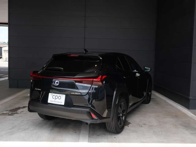 UX250h バージョンC