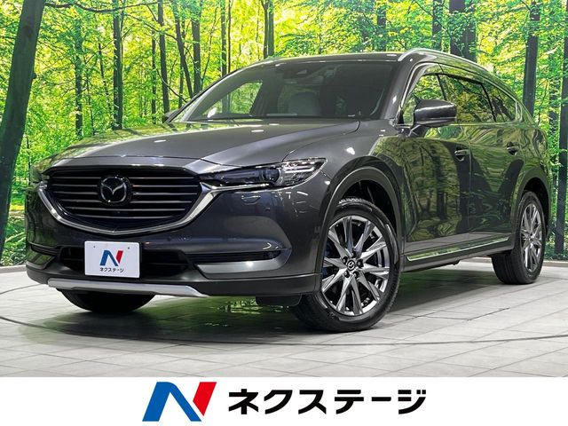 CX-82.5 25T Lパッケージ