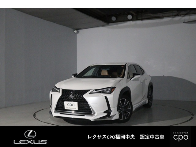 UX250h バージョンL