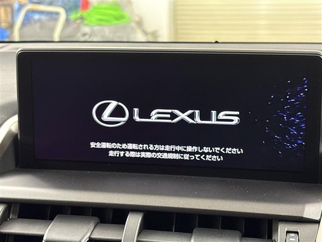 NX300 バージョンL 4WD