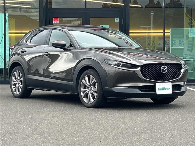 CX-301.8 XD Lパッケージ