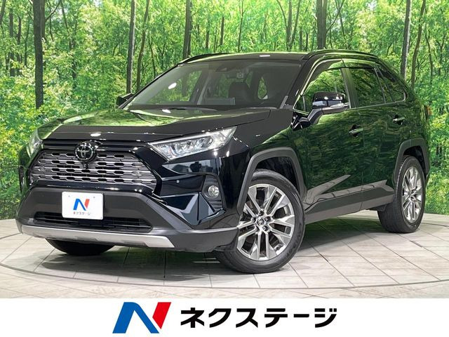 RAV42.0 G Zパッケージ 4WD