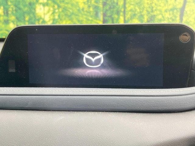 CX-302.0 20S