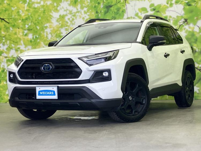 RAV42.5 ハイブリッド アドベンチャー オフロードパッケージ II E-Four 4WD