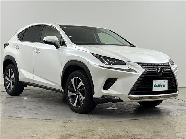 NX300 バージョンL 4WD