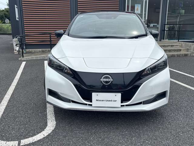 リーフe+ X
