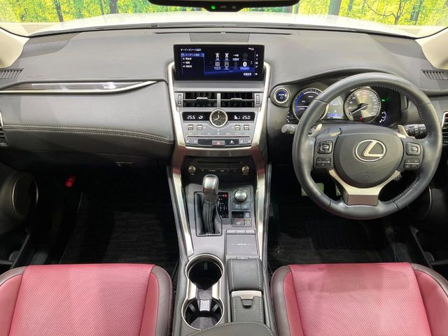 NX300h バージョンL