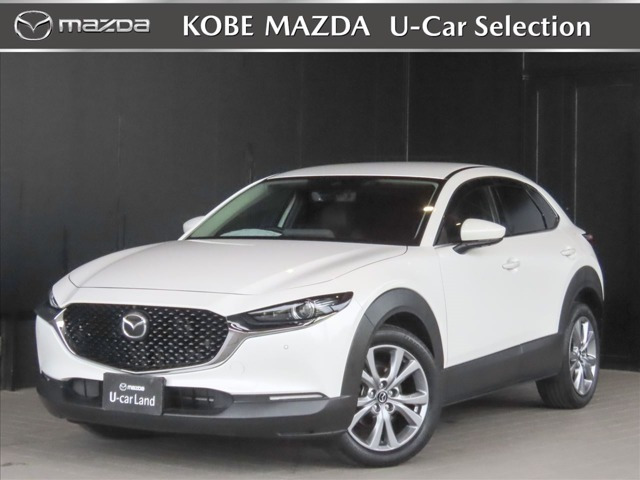 CX-301.8 XD Lパッケージ