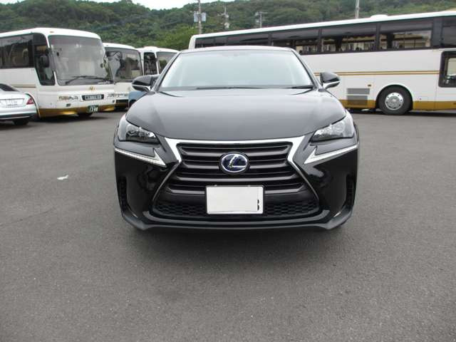 NX300h