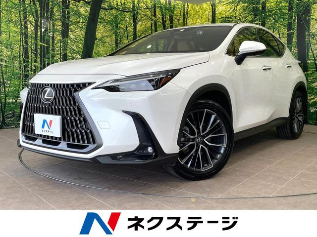 NX350h バージョンL