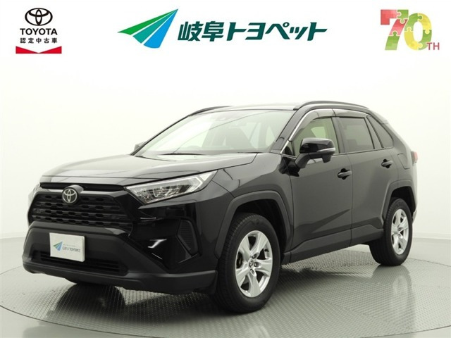RAV42.0 X