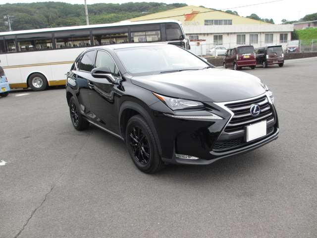 NX300h