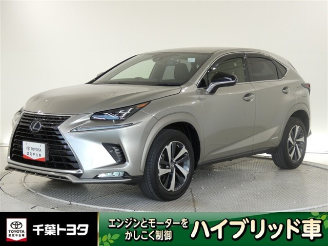 NX300h