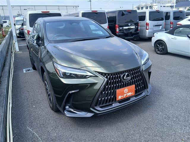 NX250