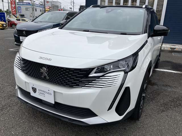 3008GT