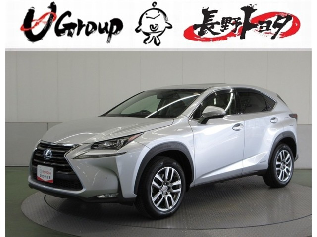 NX300h 4WD