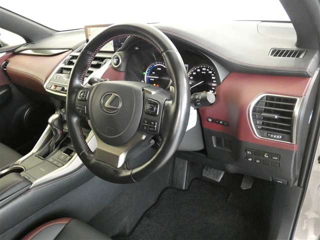 NX300h