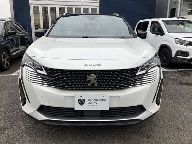 3008GT