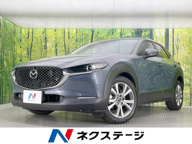CX-302.0 20S