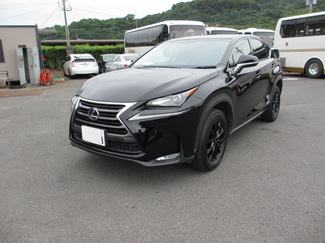NX300h