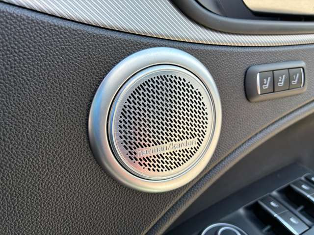 ステルヴィオ2.2 ターボ ディーゼル Q4 4WD