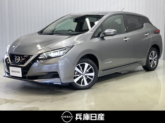 リーフe+ X