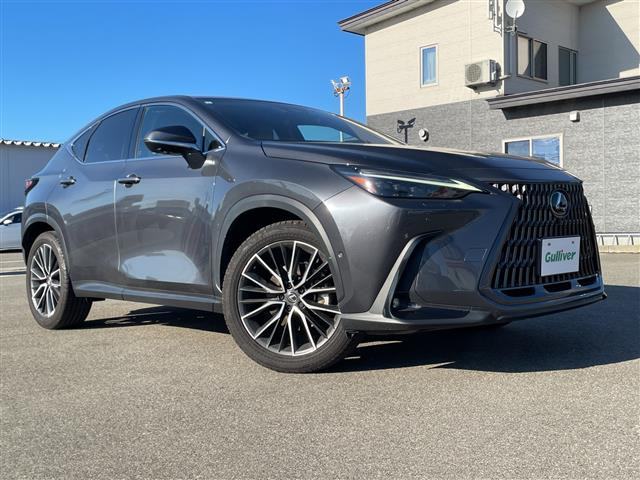 NX350h バージョンL 4WD
