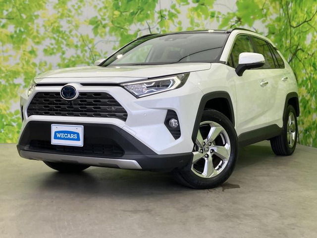 RAV42.5 ハイブリッド G E-Four 4WD