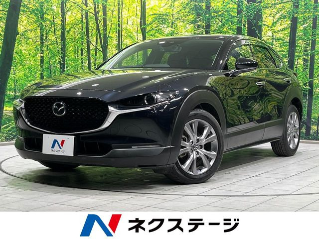 CX-302.0 20S プロアクティブ