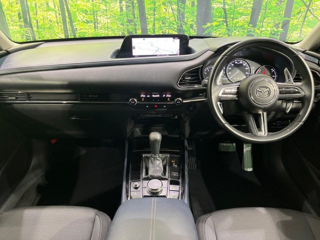 CX-302.0 20S プロアクティブ