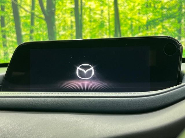 CX-302.0 20S プロアクティブ