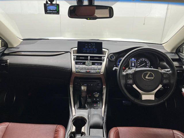 NX300h バージョンL