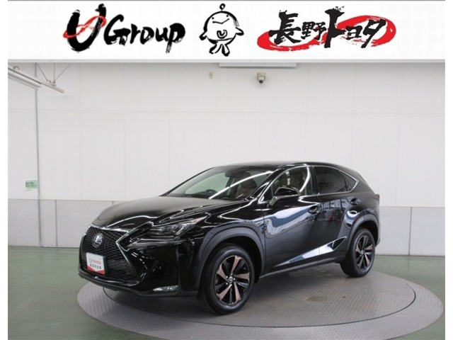 NX200t Iパッケージ